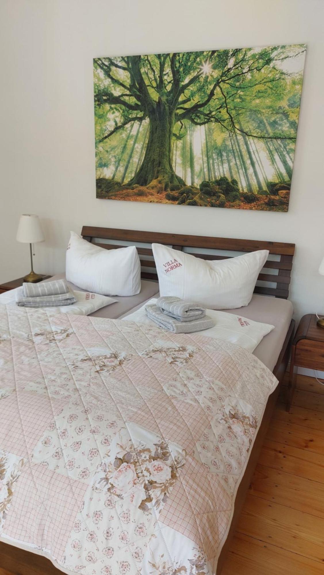 Norma Apartment Bad Schandau